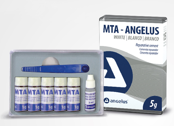 MTA ANGELUS