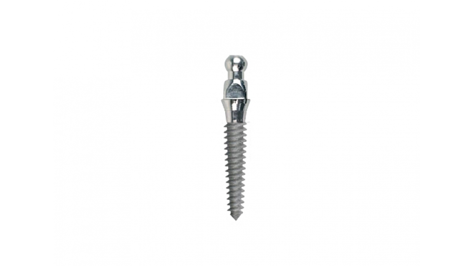 BTLock Mini Implant BTLock Mini Implant
