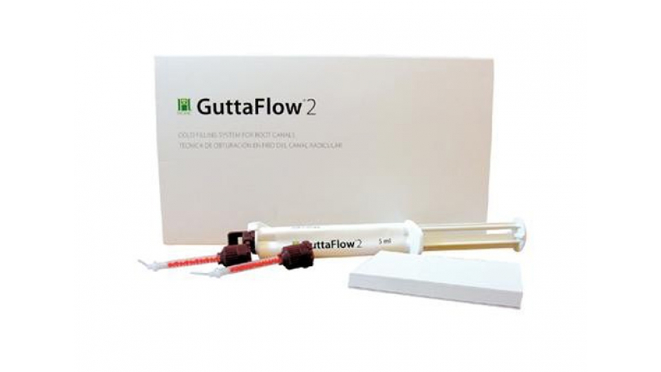 GuttaFlow 2