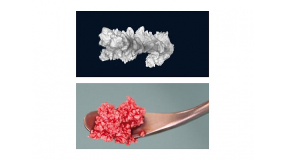 ARTOSS náhradní kostní materiál NanoBone<sup>®</sup> QD