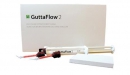 GuttaFlow 2