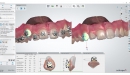 Ortho System